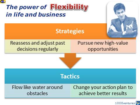 FLEXIBILITY - the power of flexibility in life and business, way to success, Dennis Kotelnikov