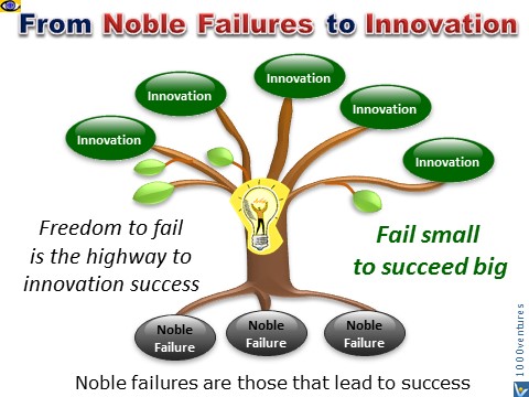 Innovation Process Freedom to Fail, Noble Failure