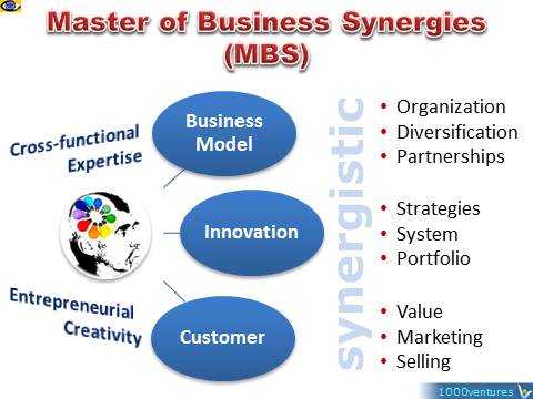 Master of Business Synergies (MBS): business model, innovation, customer, Vadim Kotelnikov