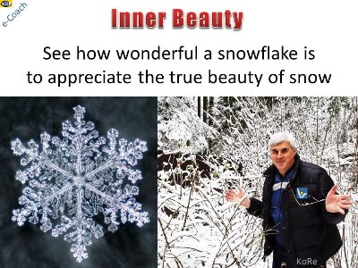 Laws of the Universe - beauty of snowflake