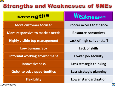 SMEs Strengths and Weaknesses