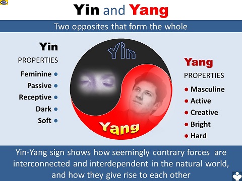 Yin and Yang forces, Yin-Yang Intelligence (YYI)